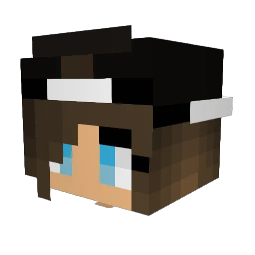 Drsamhart Minecraft avatar head, 3D render