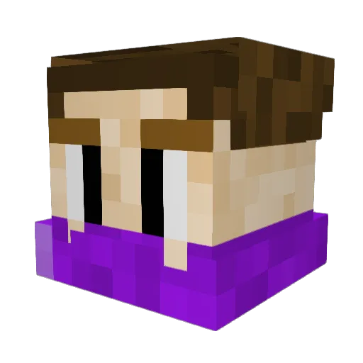 Drtterbdjs Minecraft avatar head, 3D render