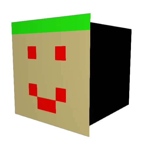 Druckfutzi Minecraft avatar head, 3D render