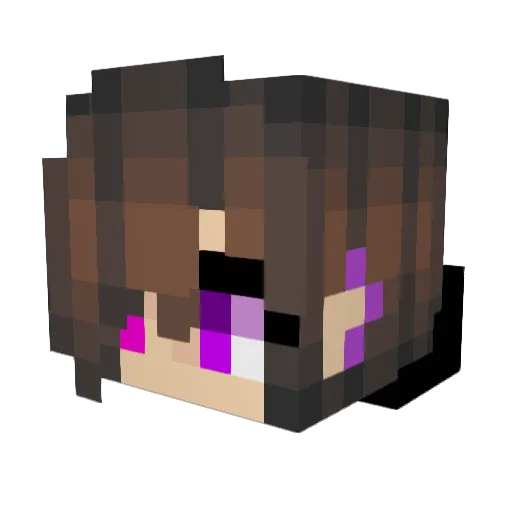 Drufus1 Minecraft avatar head, 3D render