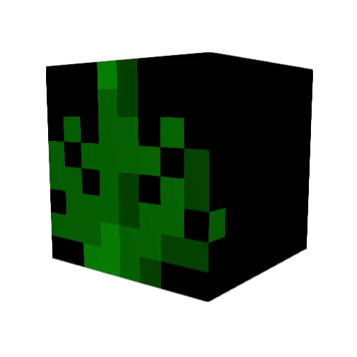 DrugFein Minecraft avatar head, 3D render