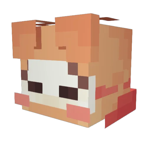 Drugao Minecraft avatar head, 3D render
