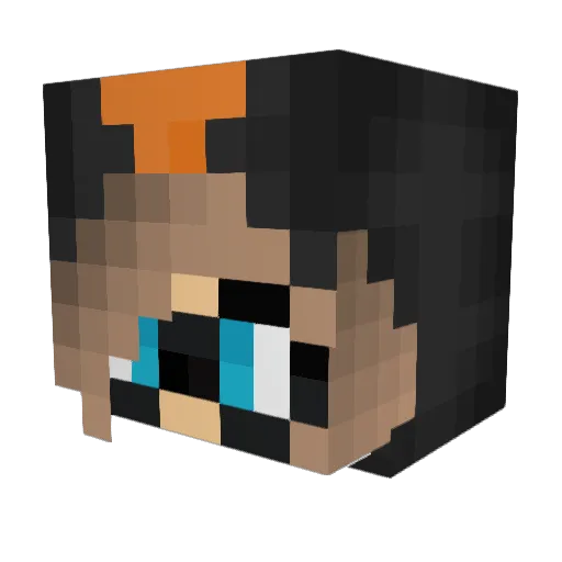 DrugsNotPugs Minecraft avatar head, 3D render