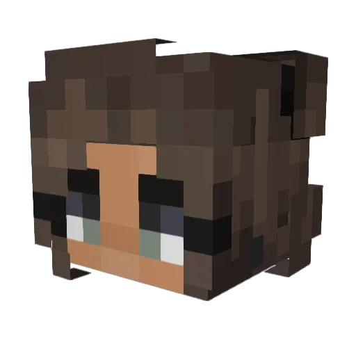 Druhs Minecraft avatar head, 3D render