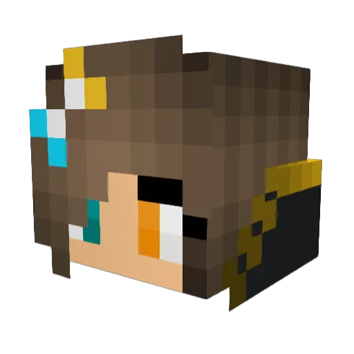 Druid12 Minecraft avatar head, 3D render