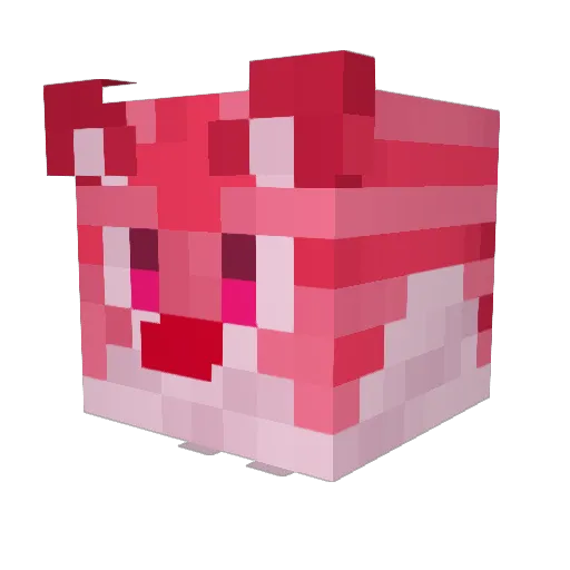 DruidHomo Minecraft avatar head, 3D render