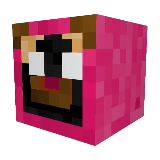 DruidRolyat22 Minecraft avatar head, 3D render