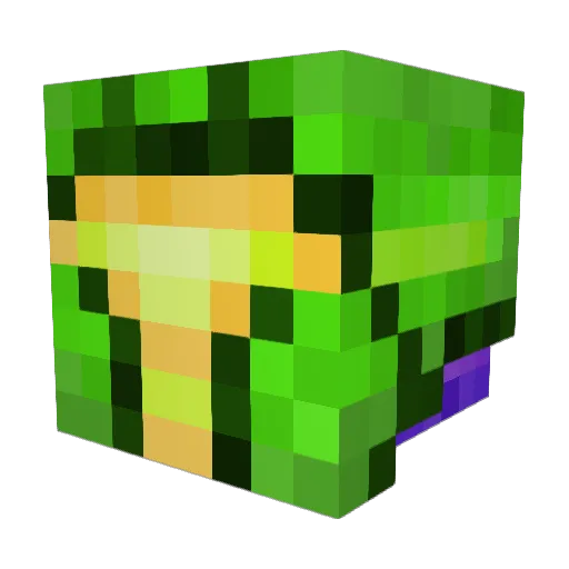 Druideka Minecraft avatar head, 3D render