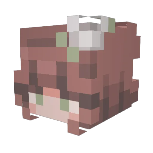 DrumMinor Minecraft avatar head, 3D render