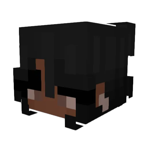 Drumsto Minecraft avatar head, 3D render