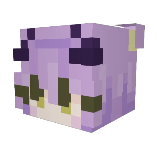 DrunkPandaXX Minecraft avatar head, 3D render