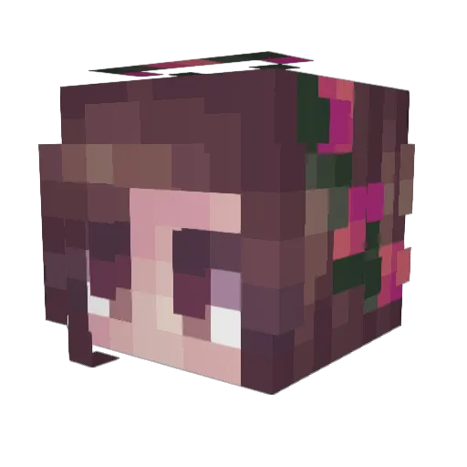 DrunkWithACat Minecraft avatar head, 3D render