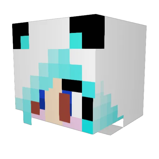 Drunk_Lan Minecraft avatar head, 3D render