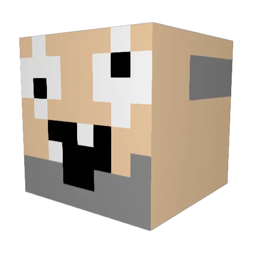DrunkenHobo22 Minecraft avatar head, 3D render