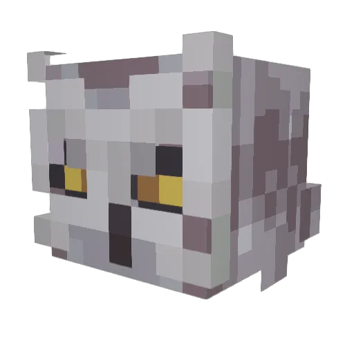 DrunkinOwl Minecraft avatar head, 3D render
