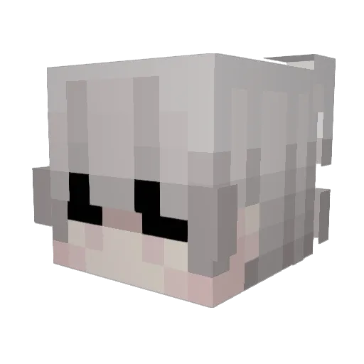 Drunkin_Prodigy Minecraft avatar head, 3D render