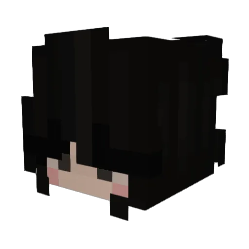 DrunkleStan666 Minecraft avatar head, 3D render