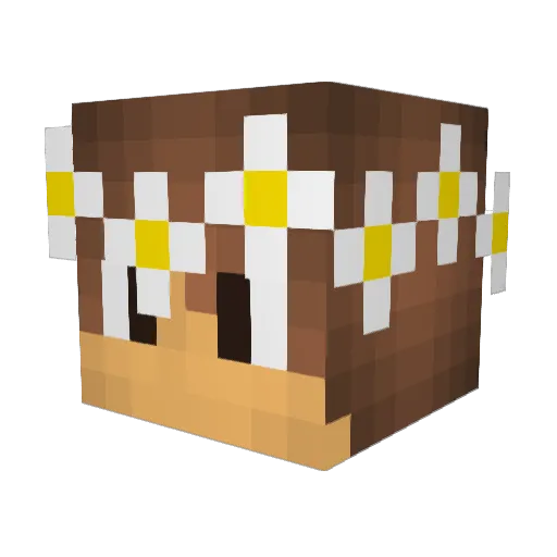 Druq Minecraft avatar head, 3D render