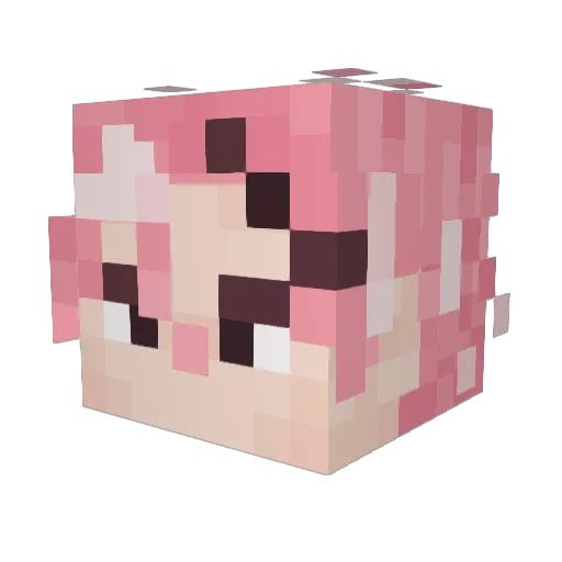Drus1 Minecraft avatar head, 3D render