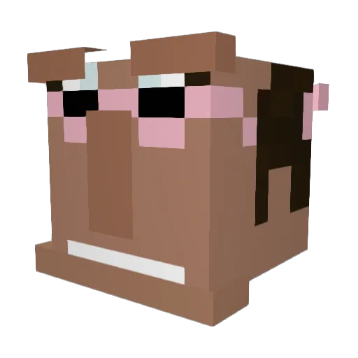 Drust_ Minecraft avatar head, 3D render