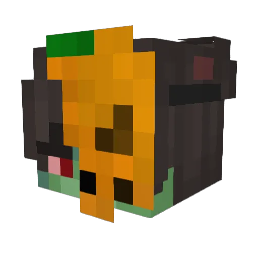 Drususss Minecraft avatar head, 3D render