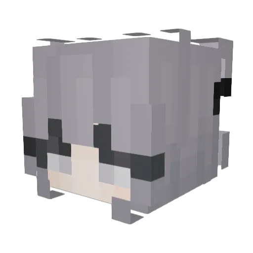 Drutexxx_idk Minecraft avatar head, 3D render