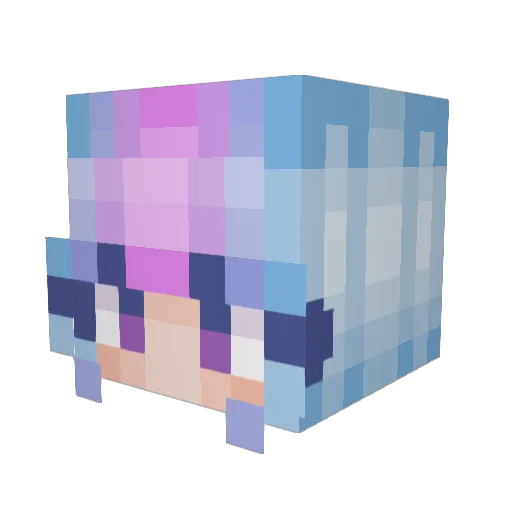Druwinnn Minecraft avatar head, 3D render