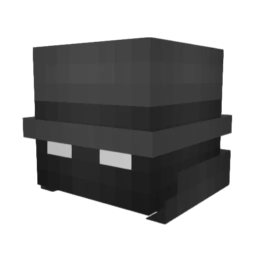 Druxid Minecraft avatar head, 3D render