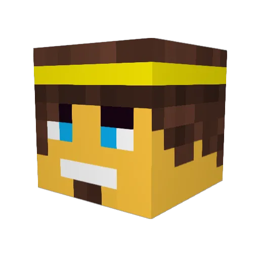 Drwal0u Minecraft avatar head, 3D render