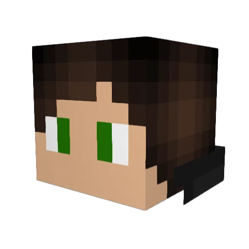 Drwhovian7 Minecraft avatar head, 3D render