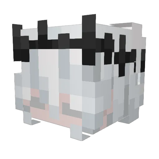 Drxgon_42 Minecraft avatar head, 3D render