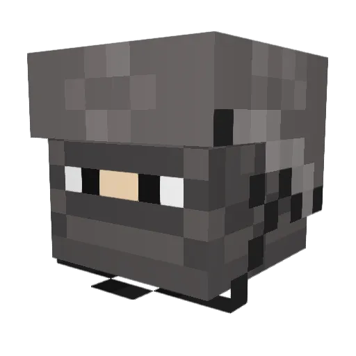 DryDreams8 Minecraft avatar head, 3D render