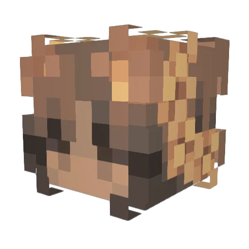 DryMangoSlice Minecraft avatar head, 3D render