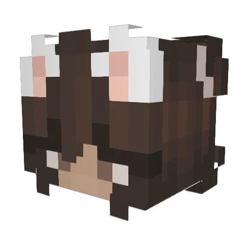 DryPineapple Minecraft avatar head, 3D render