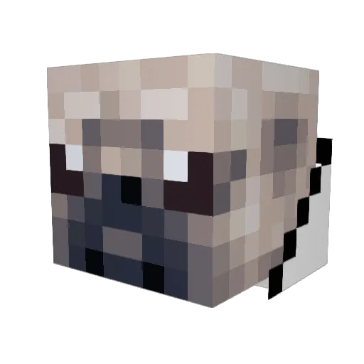 DryPug Minecraft avatar head, 3D render