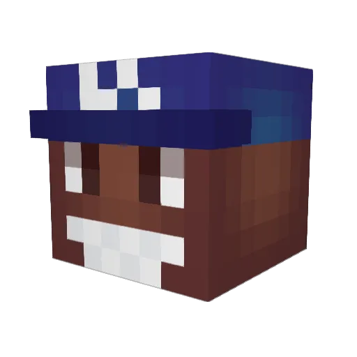 Dry_Biscuit Minecraft avatar head, 3D render