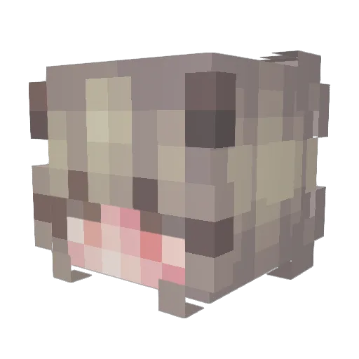 Dryaden666 Minecraft avatar head, 3D render