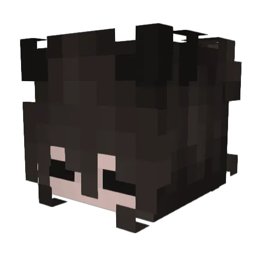 Dryaxa Minecraft avatar head, 3D render