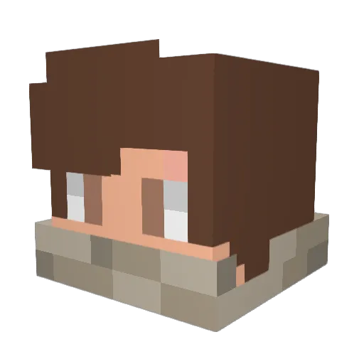 Drybeansandrice8 Minecraft avatar head, 3D render