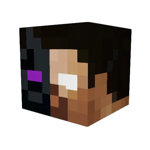 DryerFoil2 Minecraft avatar head, 3D render