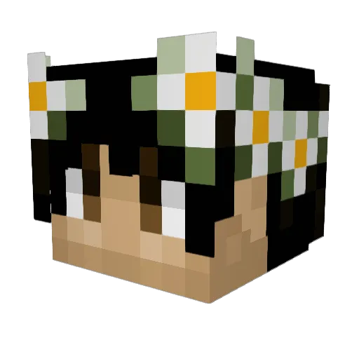 DryerGorilla188 Minecraft avatar head, 3D render