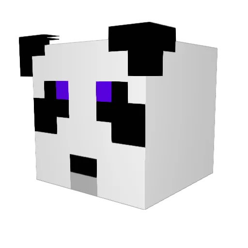Dryfus3368 Minecraft avatar head, 3D render