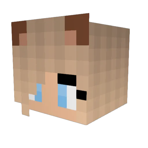 DrynessThe2nd Minecraft avatar head, 3D render