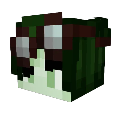 Dryptin Minecraft avatar head, 3D render