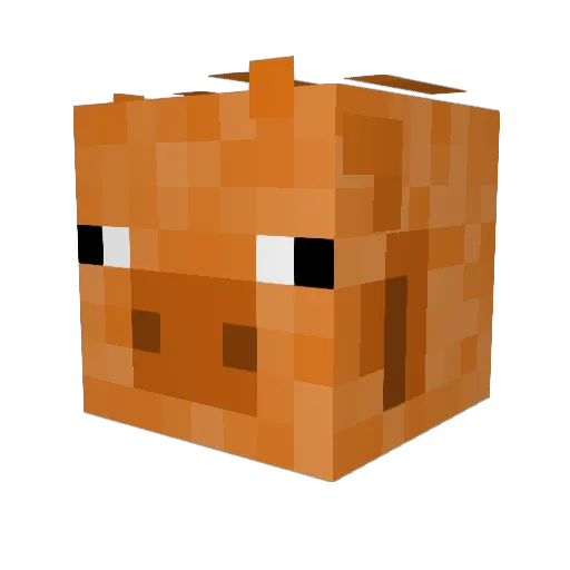 Dryskinpug Minecraft avatar head, 3D render