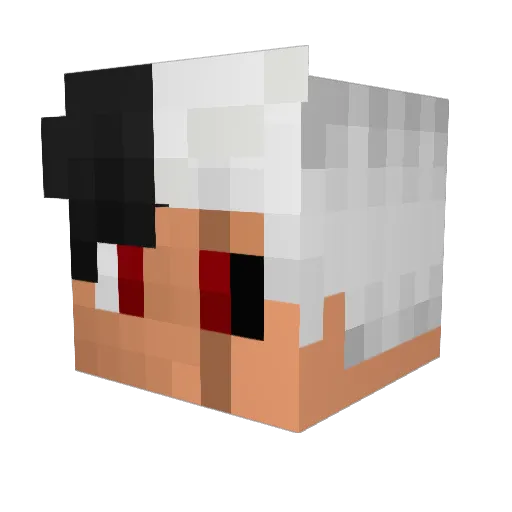 DrywzerRox Minecraft avatar head, 3D render