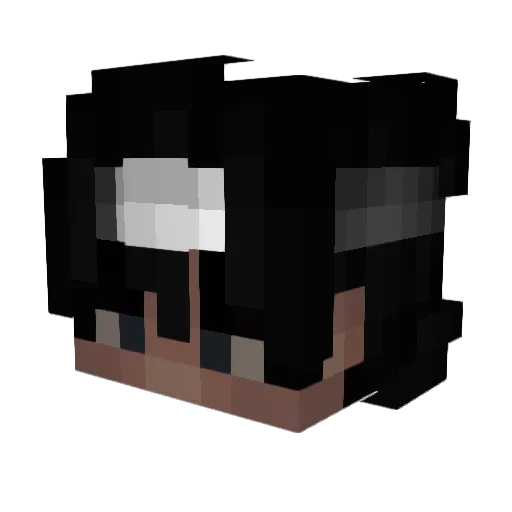 Drzerz16 Minecraft avatar head, 3D render