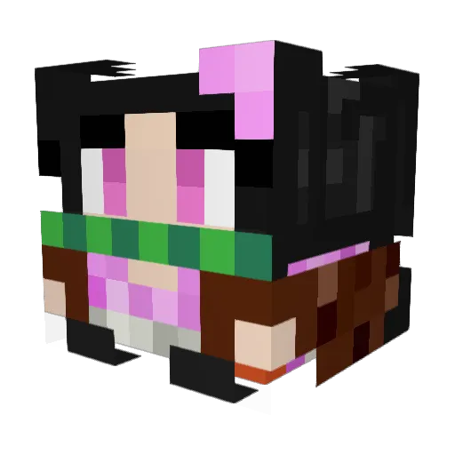 Drzp2 Minecraft avatar head, 3D render