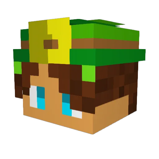 Ds3_PaBlo Minecraft avatar head, 3D render