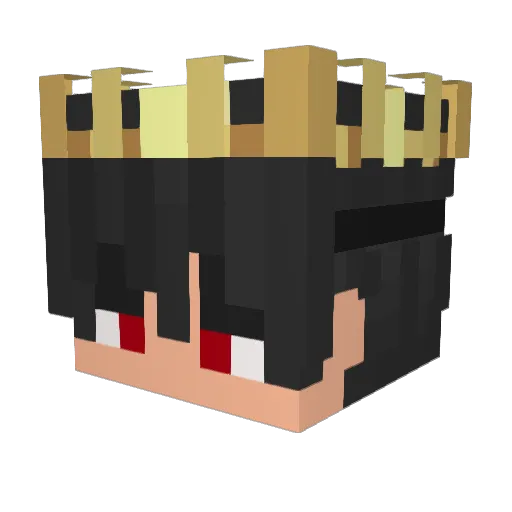 Ds_LELEO Minecraft avatar head, 3D render
